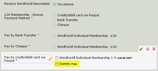 Online payment options other than paypal